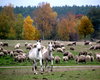 ranch in Mecklenburg-Vorpommern