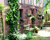 mill in UntererNeckar