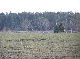 country house, Mueritz, Mecklenburg-Vorpommern