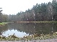 Wald, , 