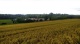 ranch, Ludwigsburg, Baden-Wuerttemberg