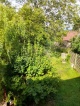 farm, Ostalbkreis, Baden-Wuerttemberg