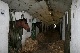 horse ranch, Slovakei, Slovakei